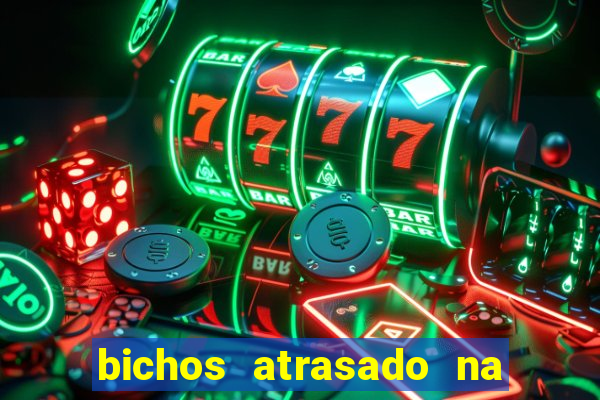 bichos atrasado na loteria dos sonhos